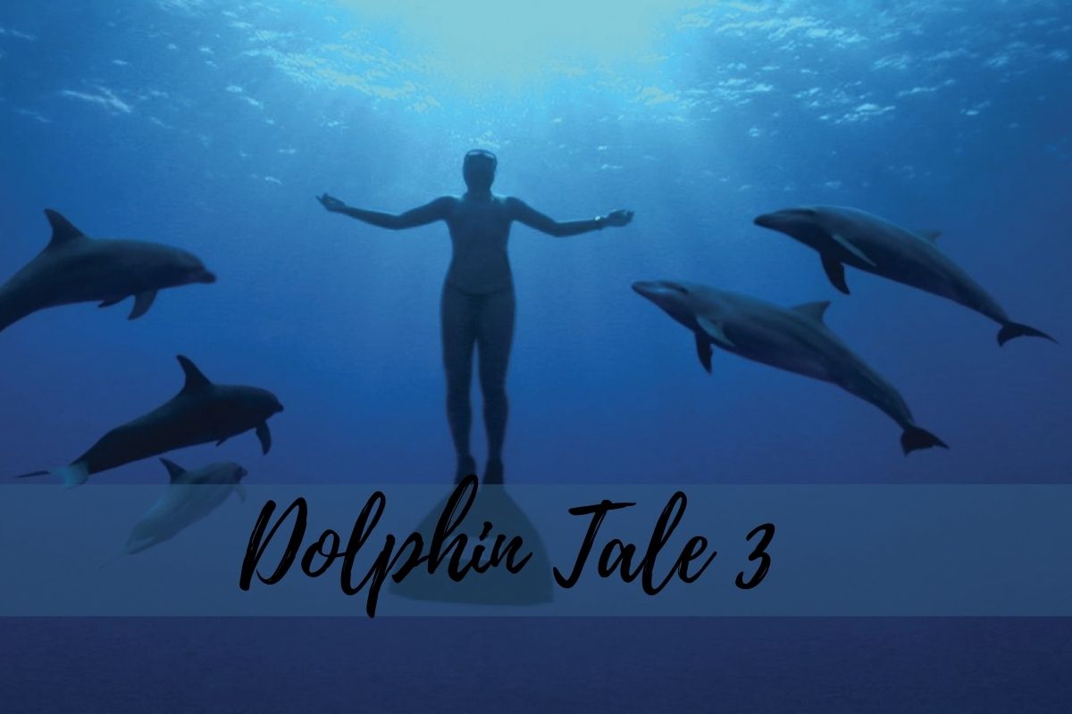 Dolphin Tale 3