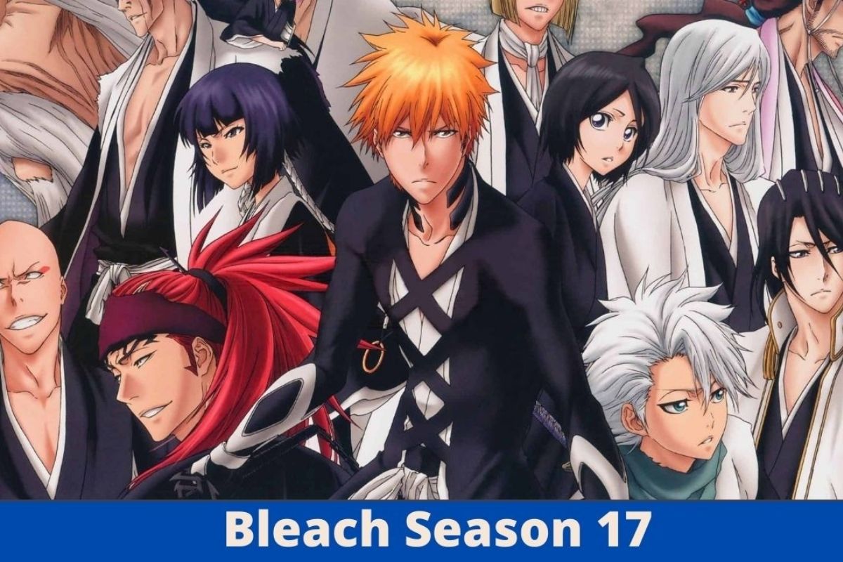 bleach season 17