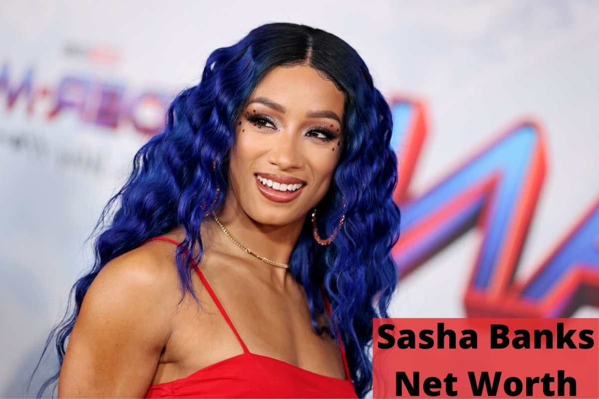 Photo of Sasha Banks Net Worth, Husband [Is She Still Married?]