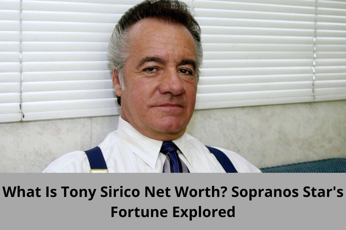 What Is Tony Sirico Net Worth? Sopranos Star's Fortune Explored