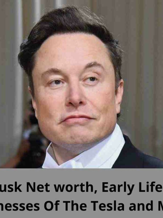 What Is Elon Musk's Net Worth? Many More Interesting Facts Nog Magazine