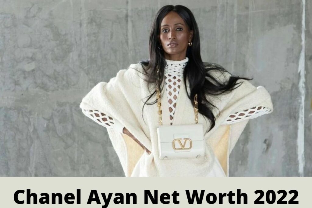 Chanel Ayan Net Worth 2022