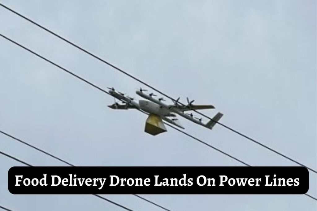 Food Delivery Drone Lands On Power Lines