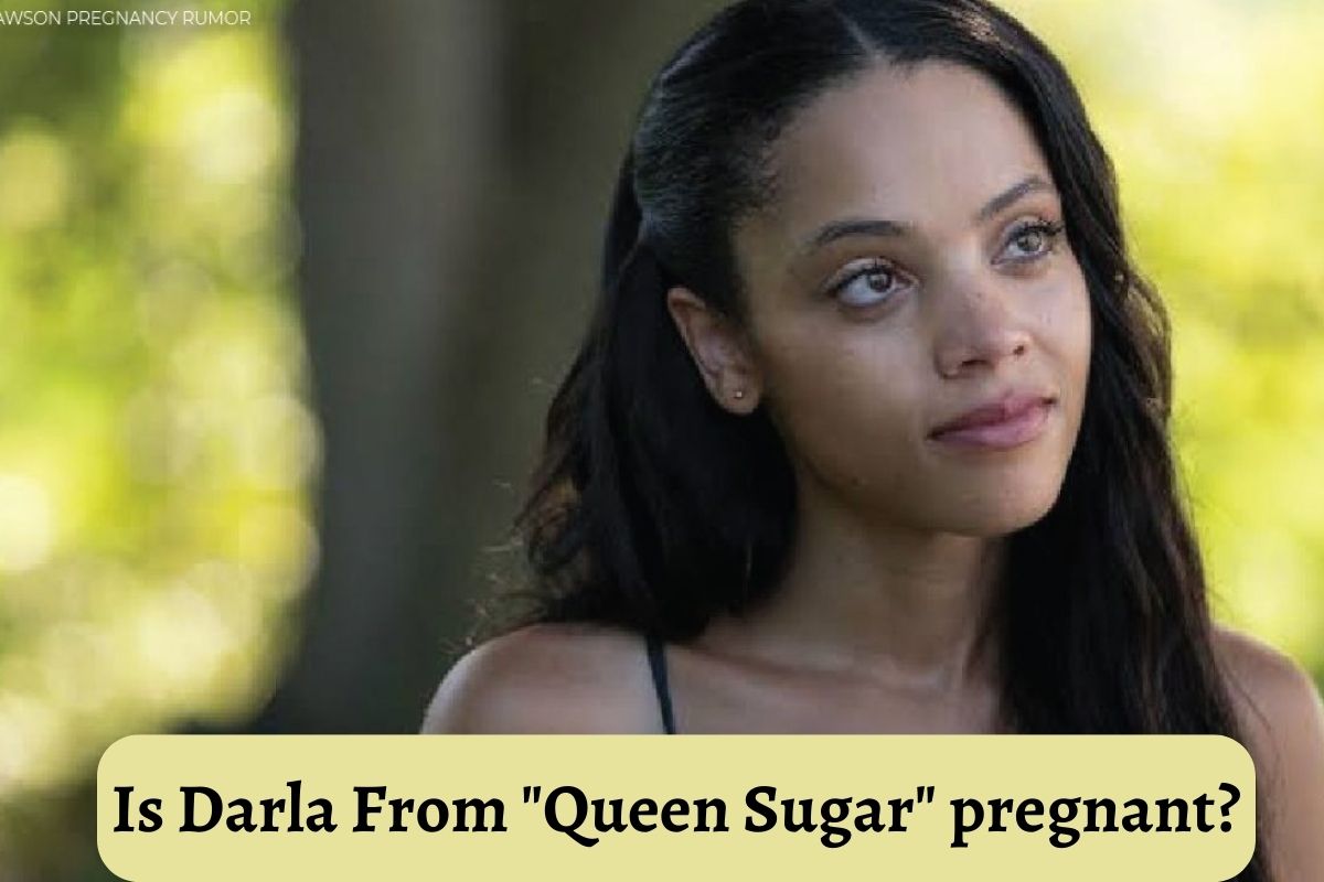 Bianca lawson pregnant in real life