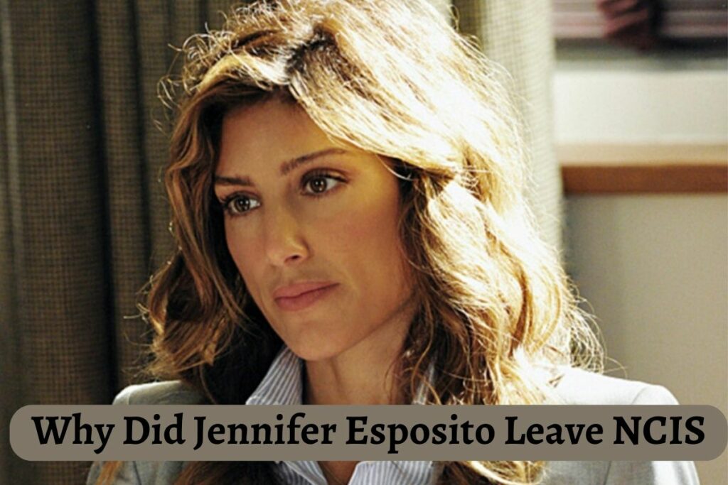 Why Did Jennifer Esposito Leave NCIS