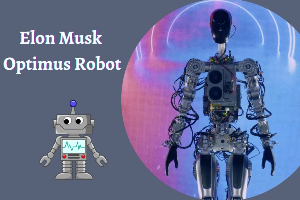 Elon Musk Optimus Robot