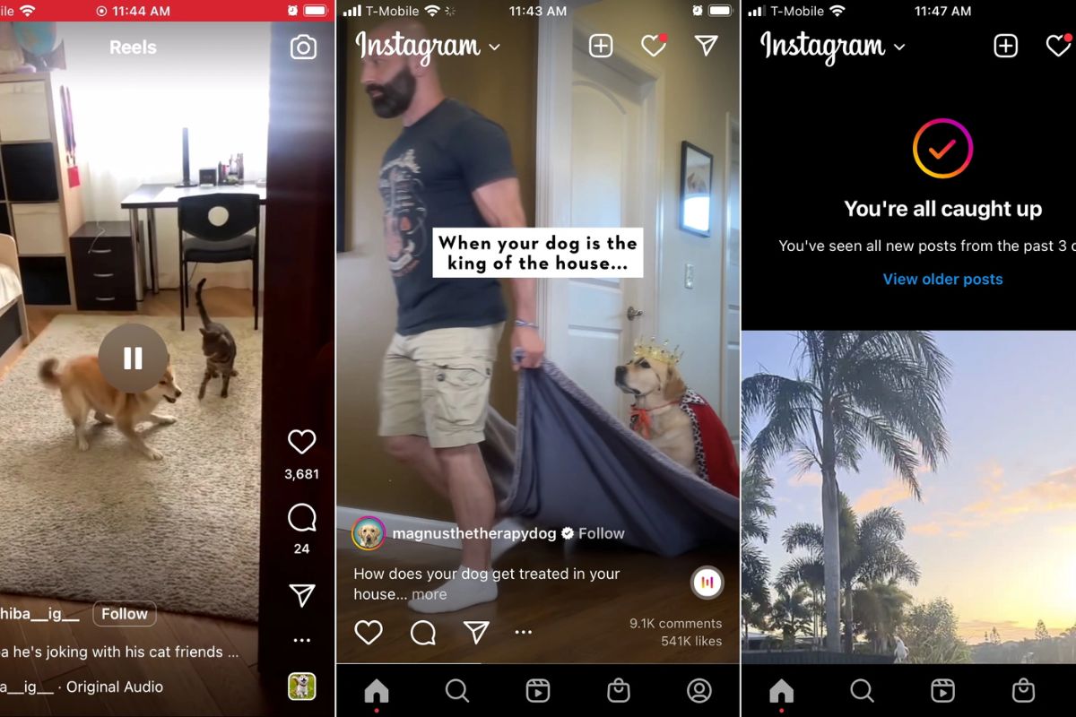 TikTok Challenges Instagram With Massive Upgrade 