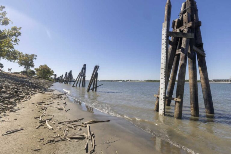 Why Is The Mississippi River Drying Up Historic Drought Led To Record   Why Is The Mississippi River Drying Up 1 768x512 