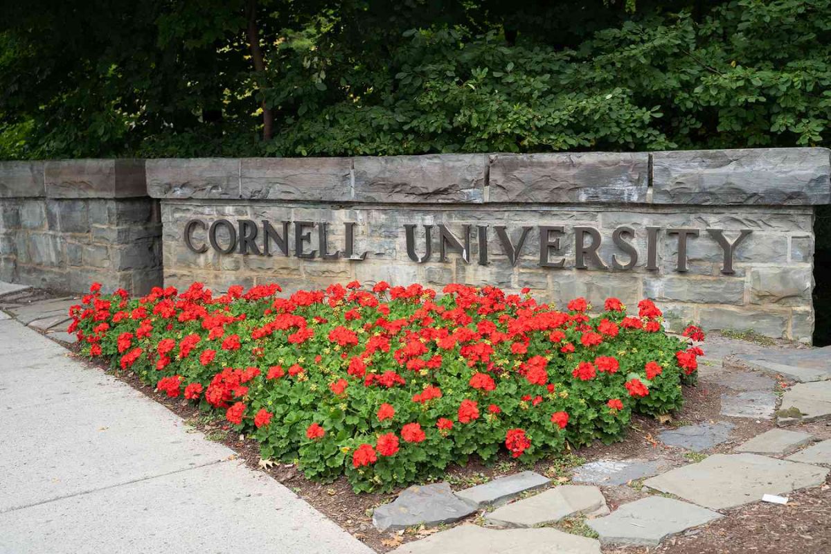 Cornell Halts Fraternity Parties After Alleged Sexual Assault