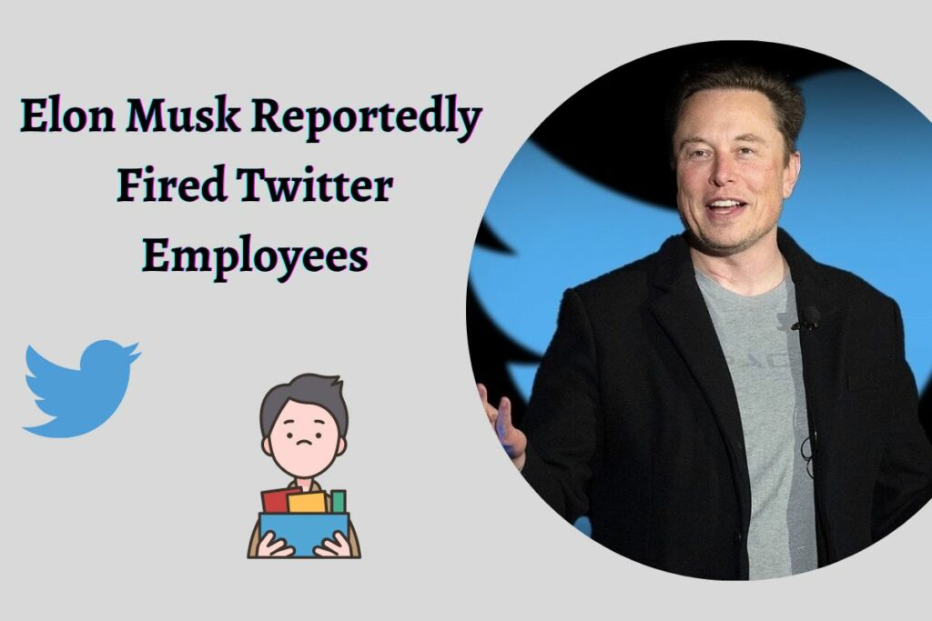 Elon Musk Reportedly Fired Twitter Employees