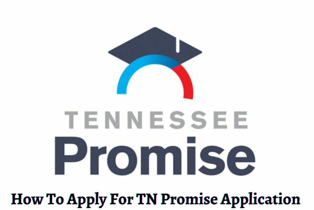How To Apply For TN Promise Application