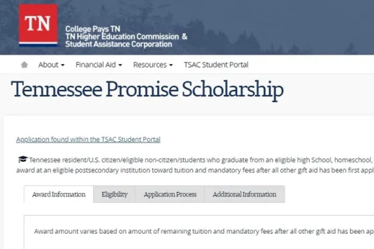 How To Apply For TN Promise Application