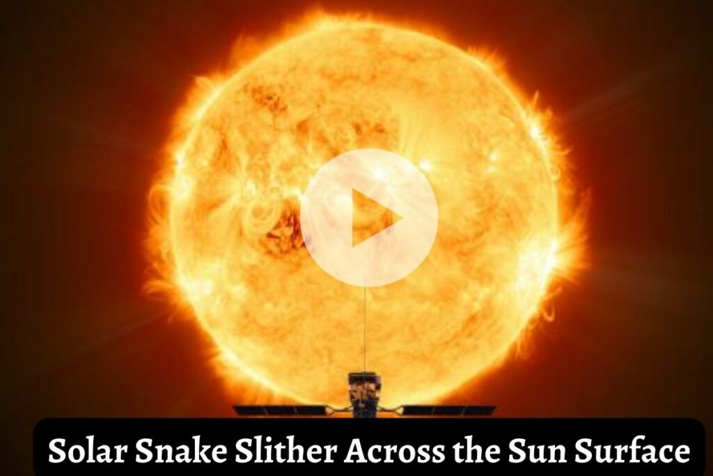 Solar Snake Slither Across the Sun Surface