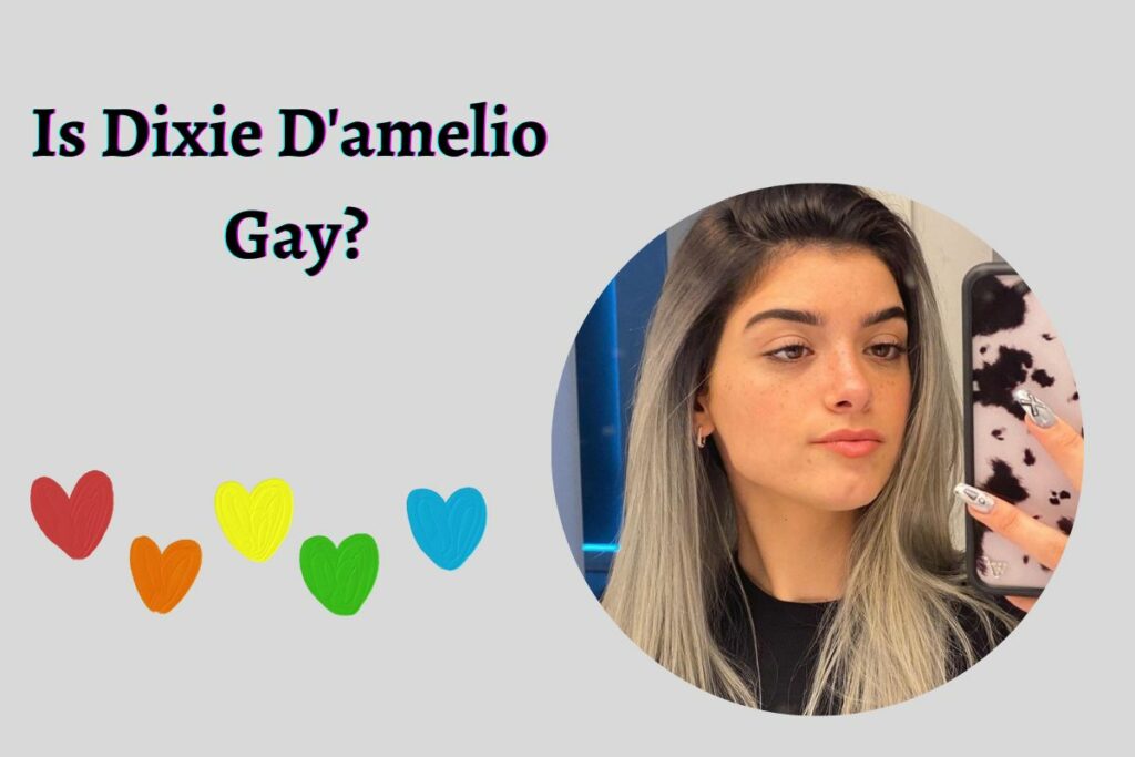 Is Dixie D'amelio Gay