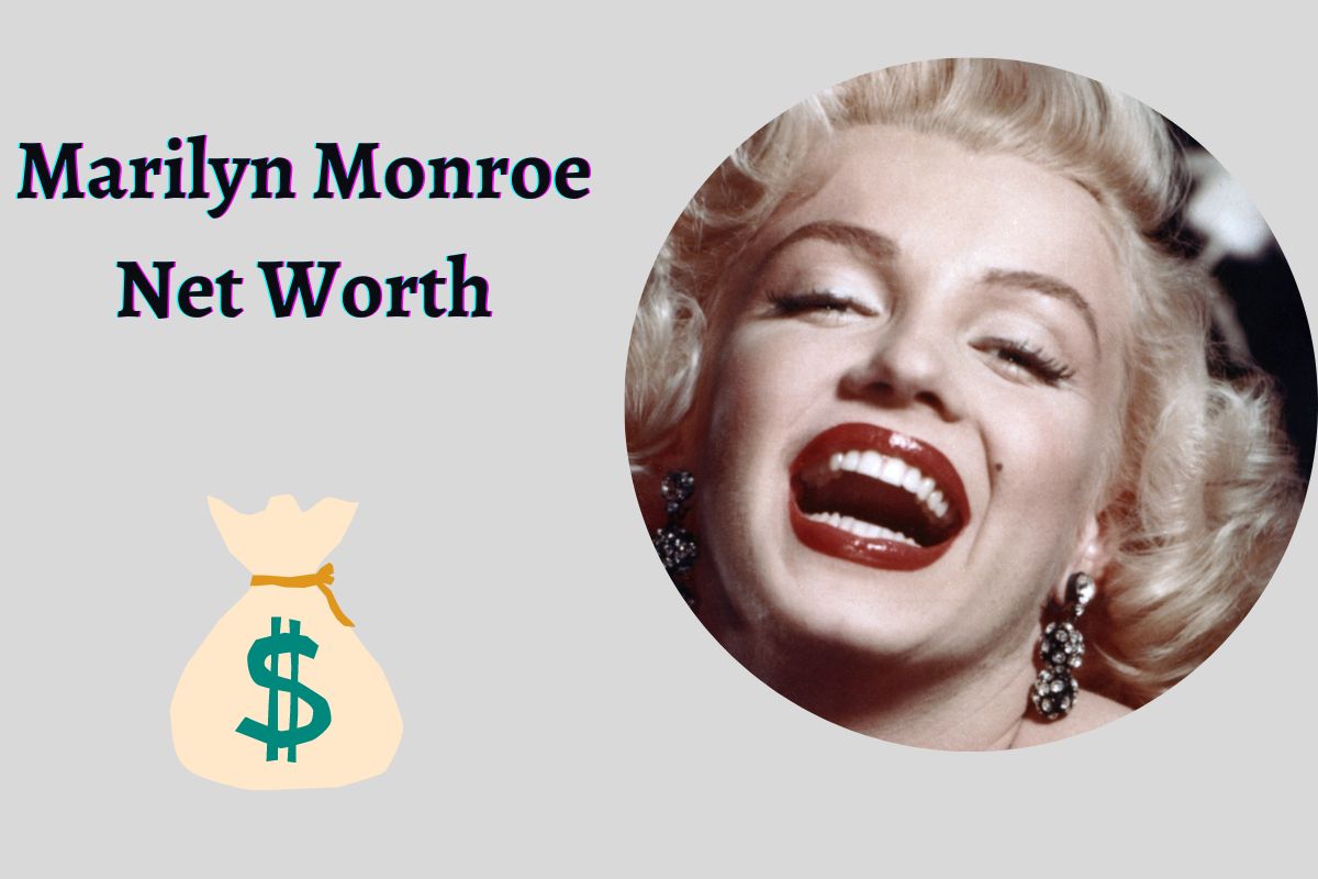 What Was Marilyn Monroe Net Worth Who Inherited Her Assets After She Died   Marilyn Monroe Net Worth 