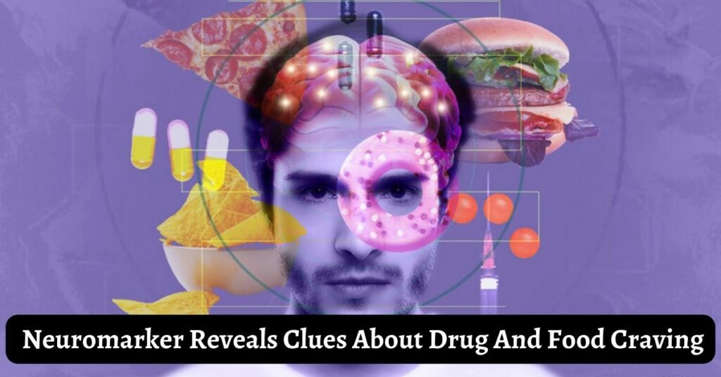 Neuromarker Reveals Clues About Drug And Food Craving