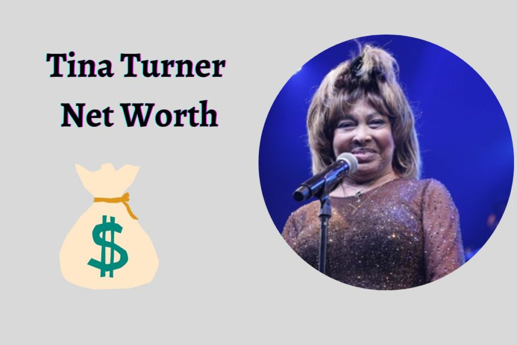 Tina Turner Net Worth