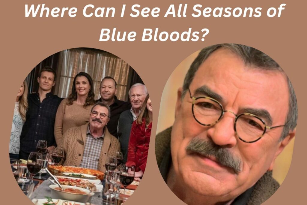 Where Can I See All Seasons of Blue Bloods