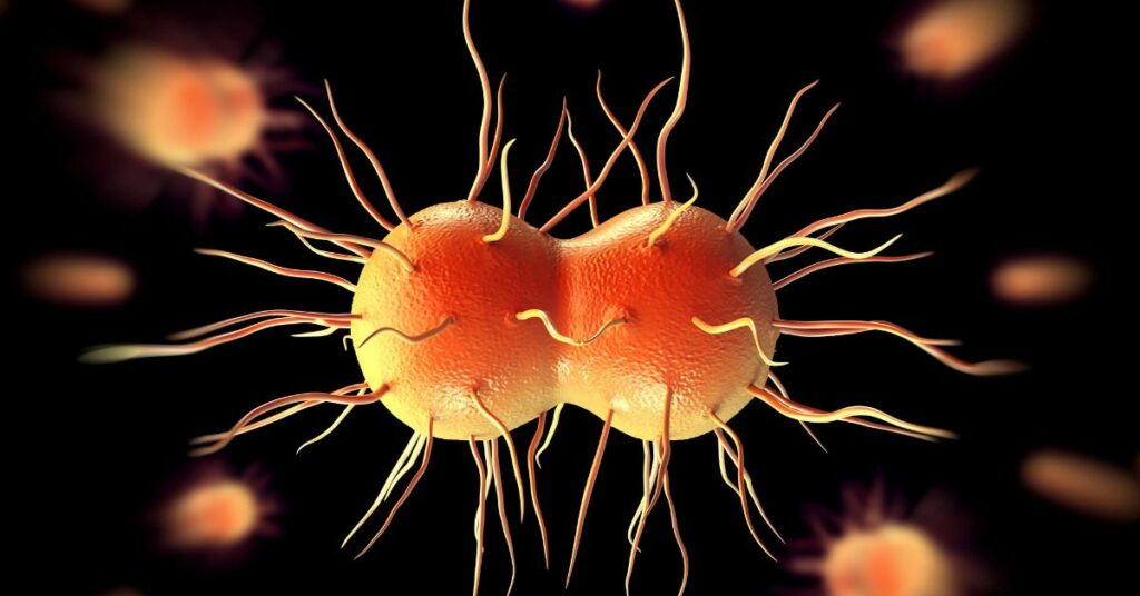 Super Gonorrhea Has Reached The U.S.