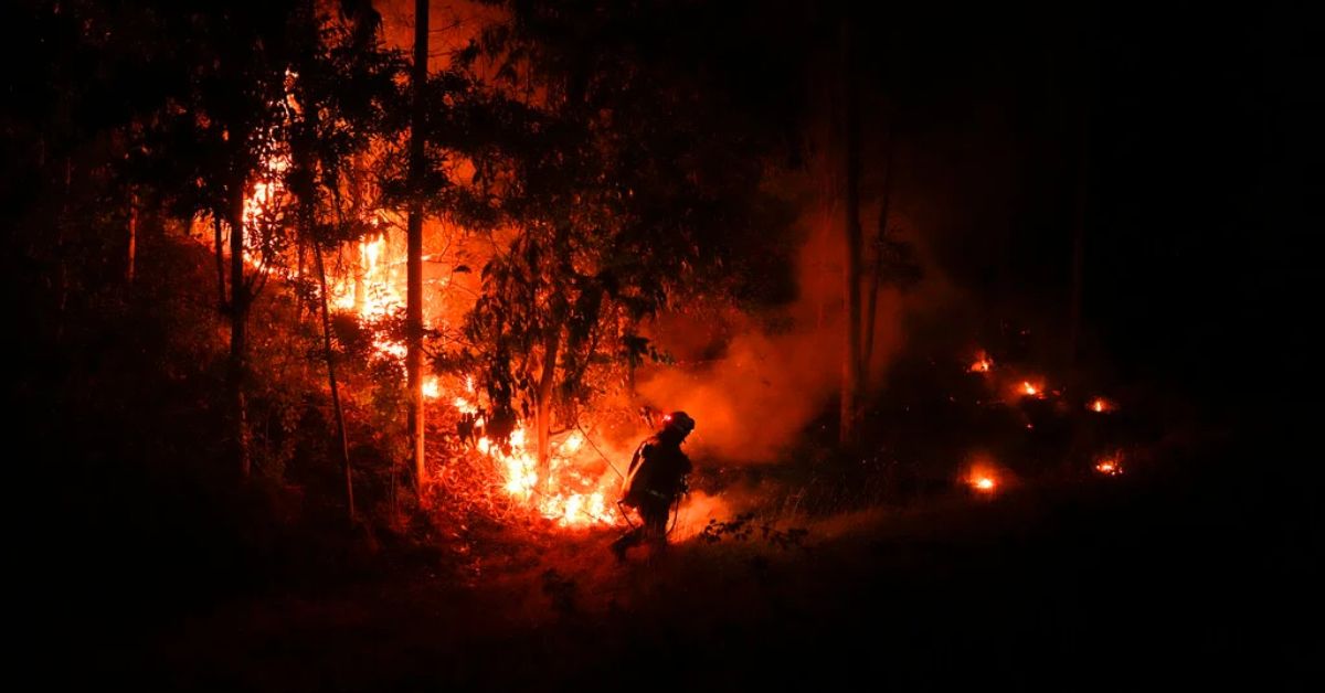 At Least 1,000 Injured and 24 Killed in Chile Wildfires 