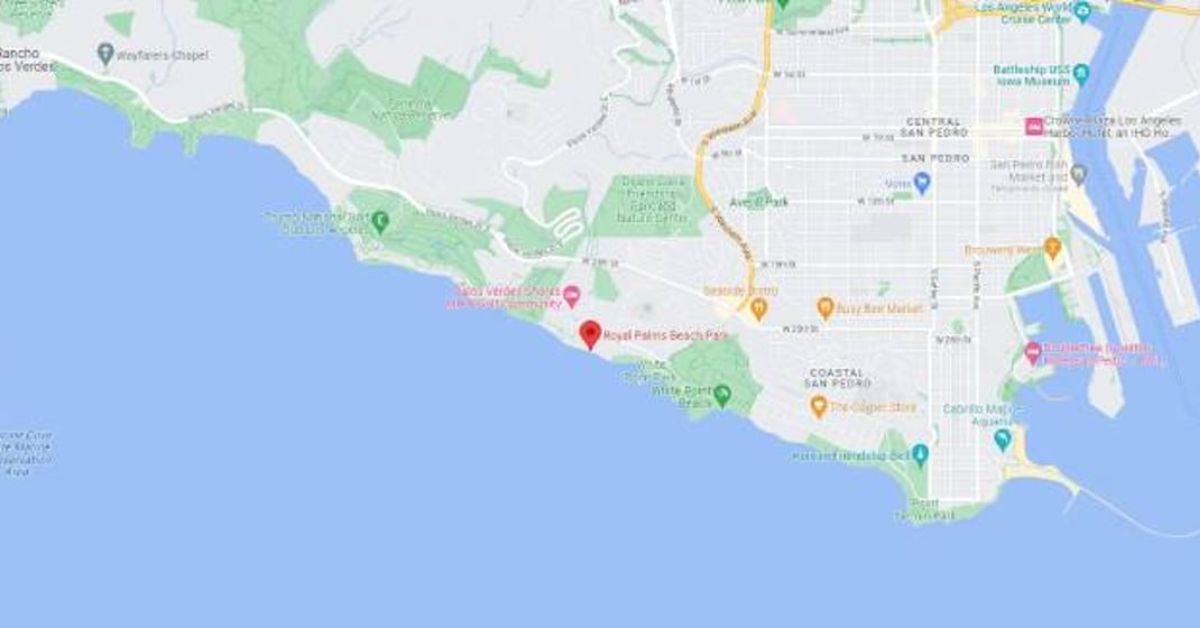 5 Injured Near Los Angeles Beach Gun Buyback Event 