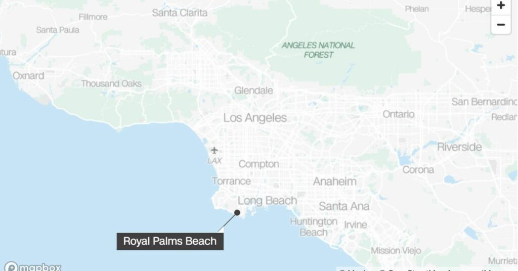 5 Injured Near Los Angeles Beach Gun Buyback Event