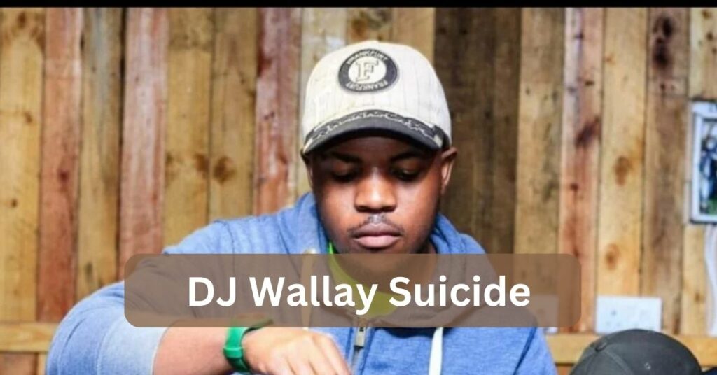 DJ Wallay Suicide