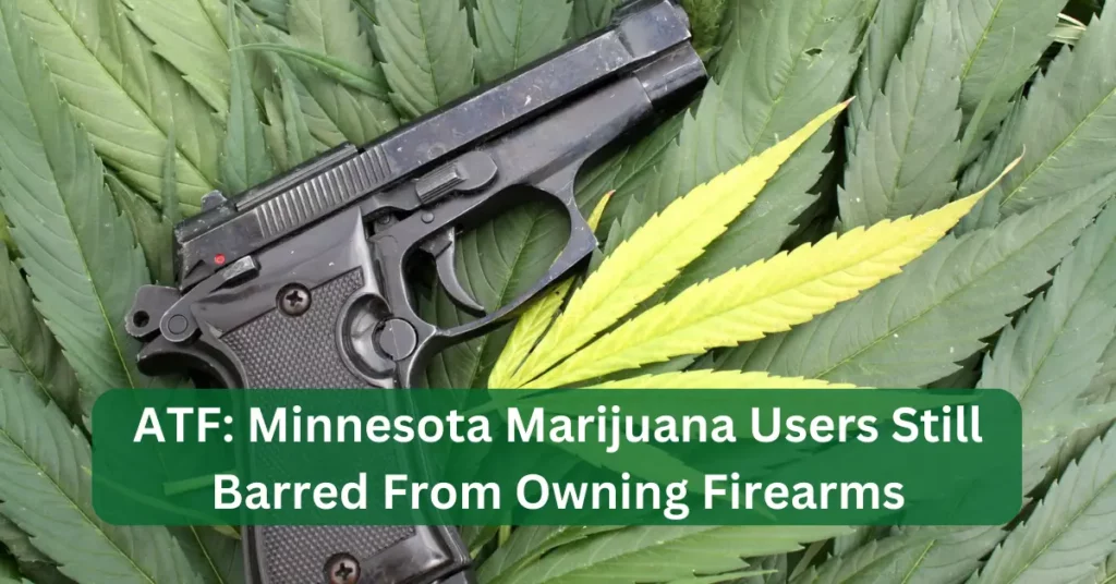 ATF: Minnesota Marijuana Users Still Barred From Owning Firearms